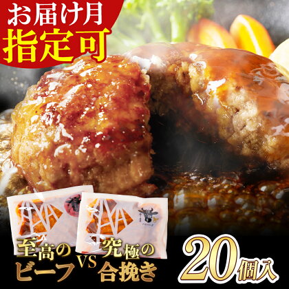  どっちのハンバーグ!?デミグラスソース20個セット（ビーフ・合挽 各10個） 大容量 牛肉 豚肉 洋食 デミソース 湯せん ボイル 個包装 簡単 冷凍 家庭用 みんなが喜ぶ 人気 コスパ 福智 手軽 送料無料 M61-31