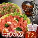 【ふるさと納税】 【訳あり】 牛ハラミ肉2種600g~1.2kg 旨辛ダレ ねぎ塩 牛肉 焼肉 味付け肉 やきにく タレ 漬け 付き 個包装 アウトドア キャンプ 大人気 人気 BBQ 簡単 冷凍 家庭用 コスパ 福智 お試し 博多若杉 送料無料