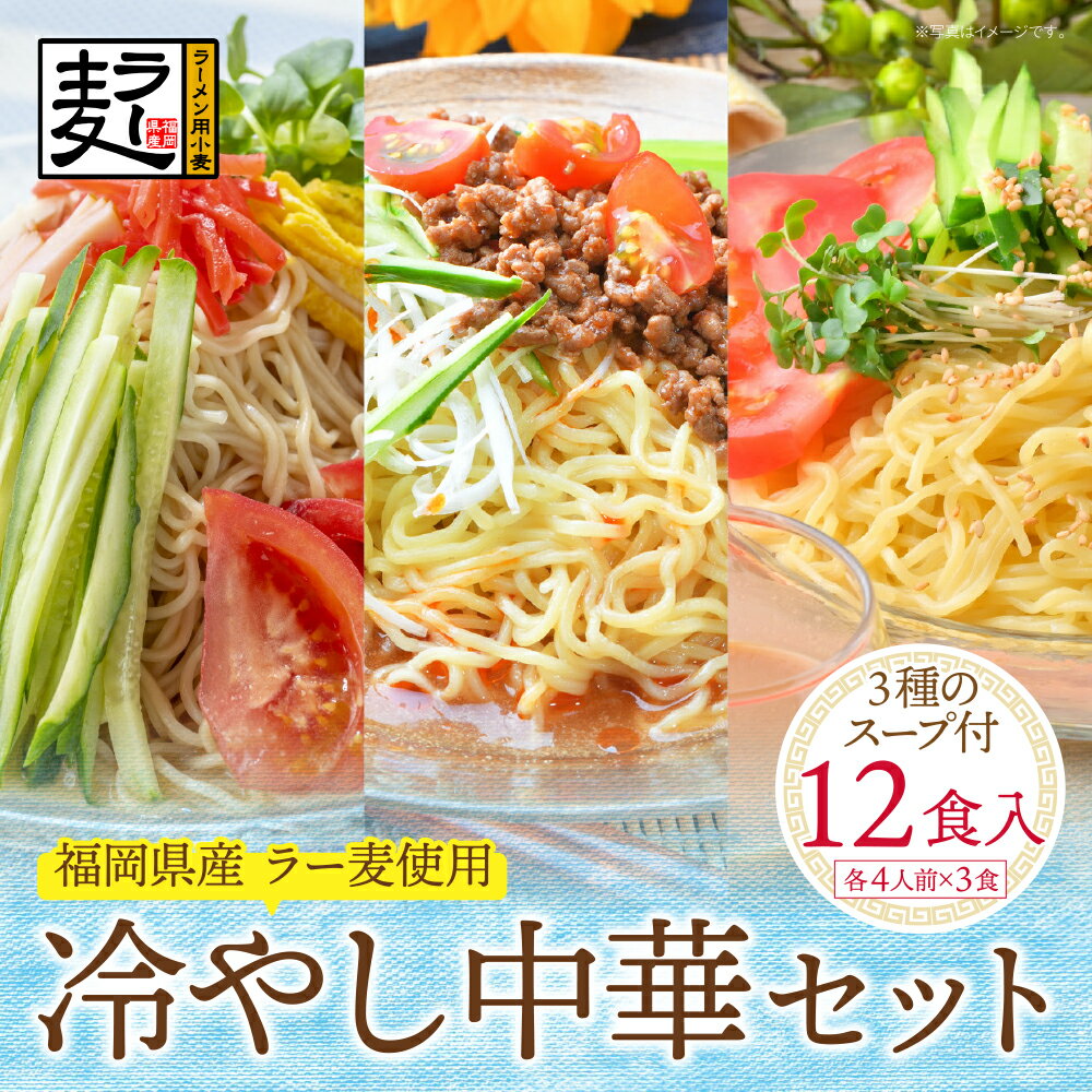 【ふるさと納税】 【4〜8月発送】福岡県産ラー麦 冷し中華セット 福岡 冷し中華 レモン 坦々スープ ごまだれ ラー麦 アレンジ U16-24