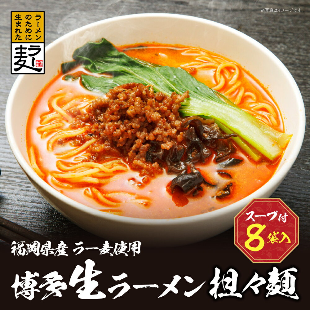 【ふるさと納税】 レビューキャンペーン 福岡県産ラー麦 博多生ラーメン担々麺 福岡 ラーメン ラー麦...