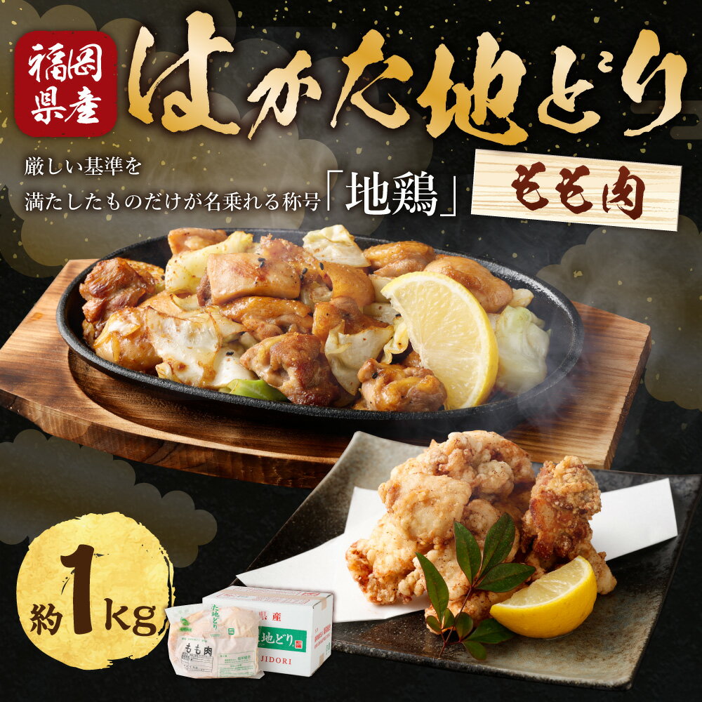 福岡県苅田町の画像2