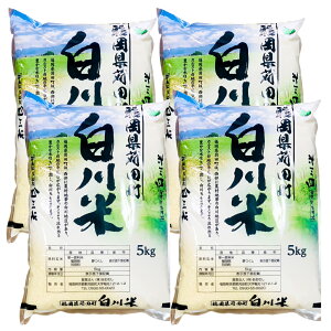 【ふるさと納税】お米農家が育てた 白川米 5kg×4袋 合計20kg 白米 お米 こめ 米 ご飯 ご...
