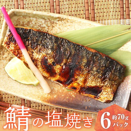 鯖の塩焼き 6パック 約70g×6パック 合計420g 塩焼き サバ 鯖 さば 魚 レンジ レトルト 福岡県 苅田町 送料無料