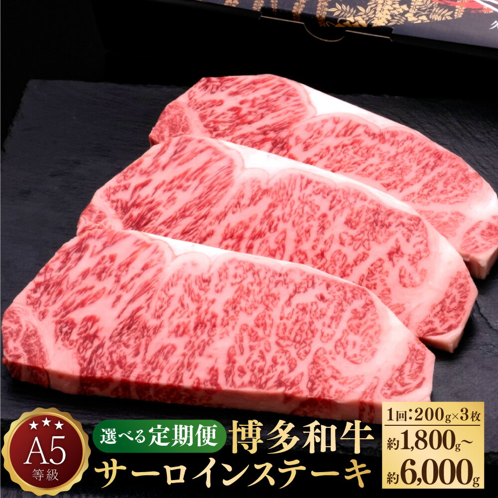 A5等級 博多和牛 サーロインステーキ 和牛 牛肉 肉 お肉 国産牛 国産牛肉 サーロイン ステーキ ステーキ肉 赤身 霜降り 1回約200g×3枚 定期便 3ヶ月 5ヶ月 10ヶ月 隔月6回 冷凍 博多 福岡県 苅田町 送料無料