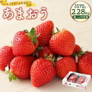 【ふるさと納税】<選べる内容量>あまおう 1パックあたり約285g 2パック・4パック・6パック・8パック 苺 果物 果実 フルーツ 【ふくおかエコ農産物認証】 冷蔵 久留米産 国産 九州 福岡県 苅田町 送料無料 【2026年2月上旬から3月下旬発送予定】