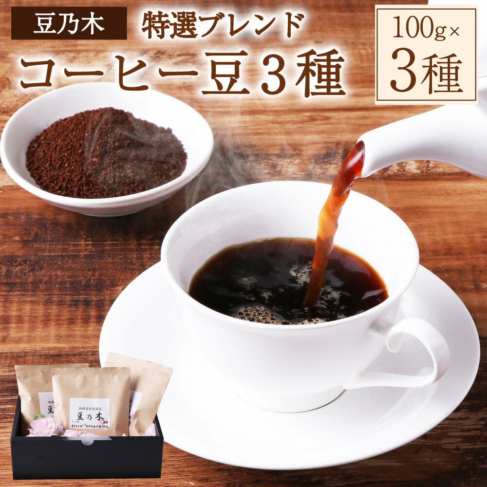 豆乃木特選 ブレンドコーヒー豆 3種セット 粉 中挽き 姫たちのお茶会・香りの小道・足立山麓 計300g(各100g×3袋) 珈琲 飲料 ドリンク 福岡県 苅田町 送料無料