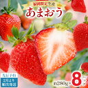【ふるさと納税】【先行予約2月より順次発送】あまおう 贅沢ないちご祭り グランデサイズ以上 約2240g(約280g×8パック) 苺 イチゴ いちご フルーツ ...