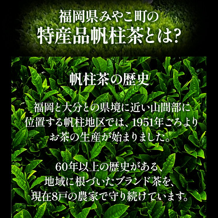 【ふるさと納税】＜銘茶みやこ町特産・帆柱茶＞特選（100g×3袋）福岡県 お茶 日本茶 緑茶 お土産 伝統 茶葉 3