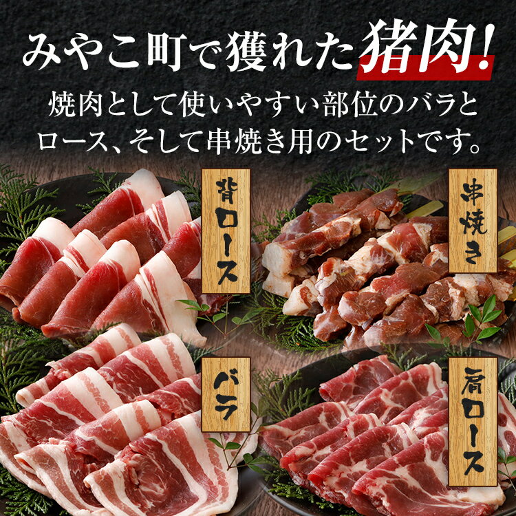 【ふるさと納税】猪肉 焼肉 BBQ セット 約1.8kg（猪バラスライス約200g×3、猪肩ローススライス約200g×2、猪背ローススライス約200g×1、猪串焼き用約300g×2）ジビエ 猪 いのしし スライス 串 焼肉 アウトドア BBQ みやこ肉 獣