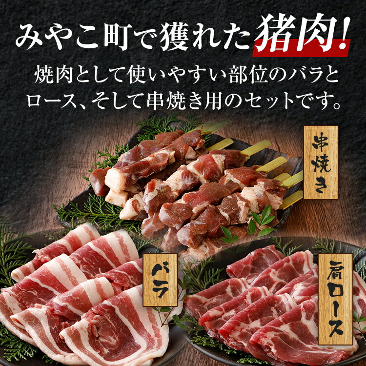 【ふるさと納税】猪肉 BBQ 焼肉 セット約900g（猪バラスライス約200g×2、猪肩ローススライス約200g×1、猪串焼き用約300g×1）ジビエ 猪 いのしし スライス 串 焼肉 焼き肉 アウトドア BBQ みやこ肉 獣 キャンプ イノシシ肉