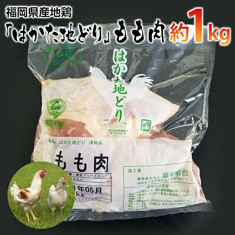 【ふるさと納税】福岡県産地鶏「はかた地どり」もも肉(約1kg