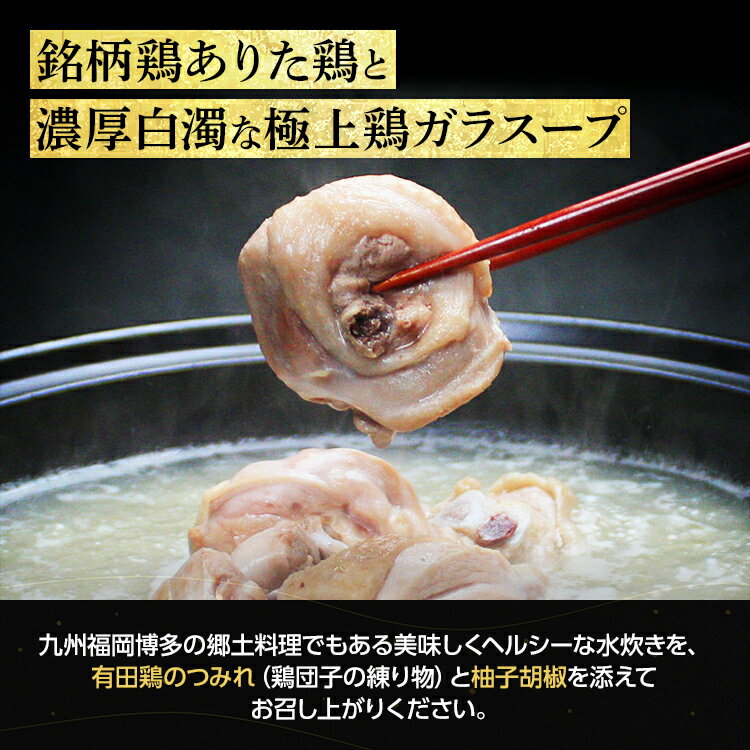 【ふるさと納税】博多水炊き（ありた鶏ぶつ切り・つみれ）セット4~6人前 お取り寄せグルメ お取り寄せ 福岡 お土産 九州 福岡土産 取り寄せ グルメ 福岡県