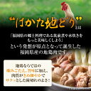 福岡県みやこ町の画像3
