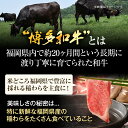 福岡県みやこ町の画像3
