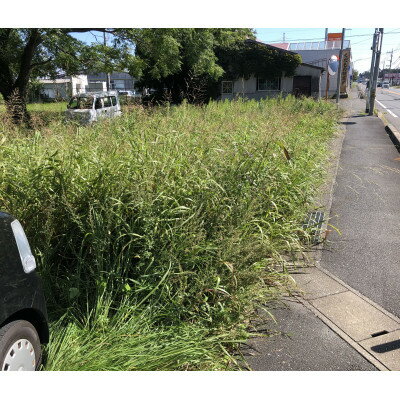 休耕田・耕作放棄地草刈り作業 100平方メートル[サービス提供地域:福岡県吉富町]