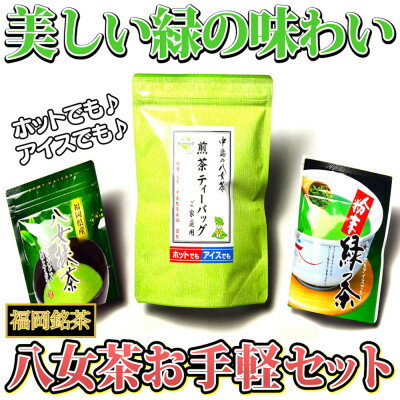 17位! 口コミ数「0件」評価「0」福岡銘茶八女茶 急須要らずのお手軽セット(便利なチャック付)(吉富町)【1330363】