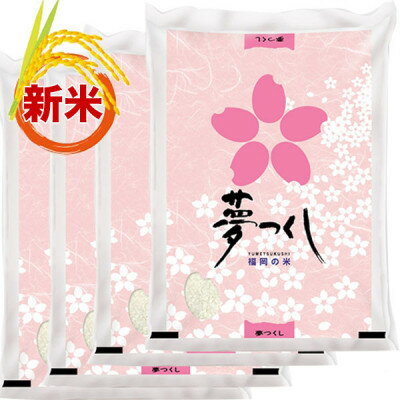 14位! 口コミ数「0件」評価「0」【令和5年産】福岡県産ブランド米「夢つくし」白米　計20kg(吉富町)【1340107】