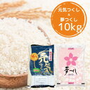 人気ランキング第14位「福岡県吉富町」口コミ数「0件」評価「0」【令和5年産】福岡県産米食べ比べ＜白米＞「夢つくし」と「元気つくし」セット計10kg(吉富町)【1340870】