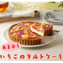 【ふるさと納税】あまおう苺のタルトケーキ　6号(約18cm)