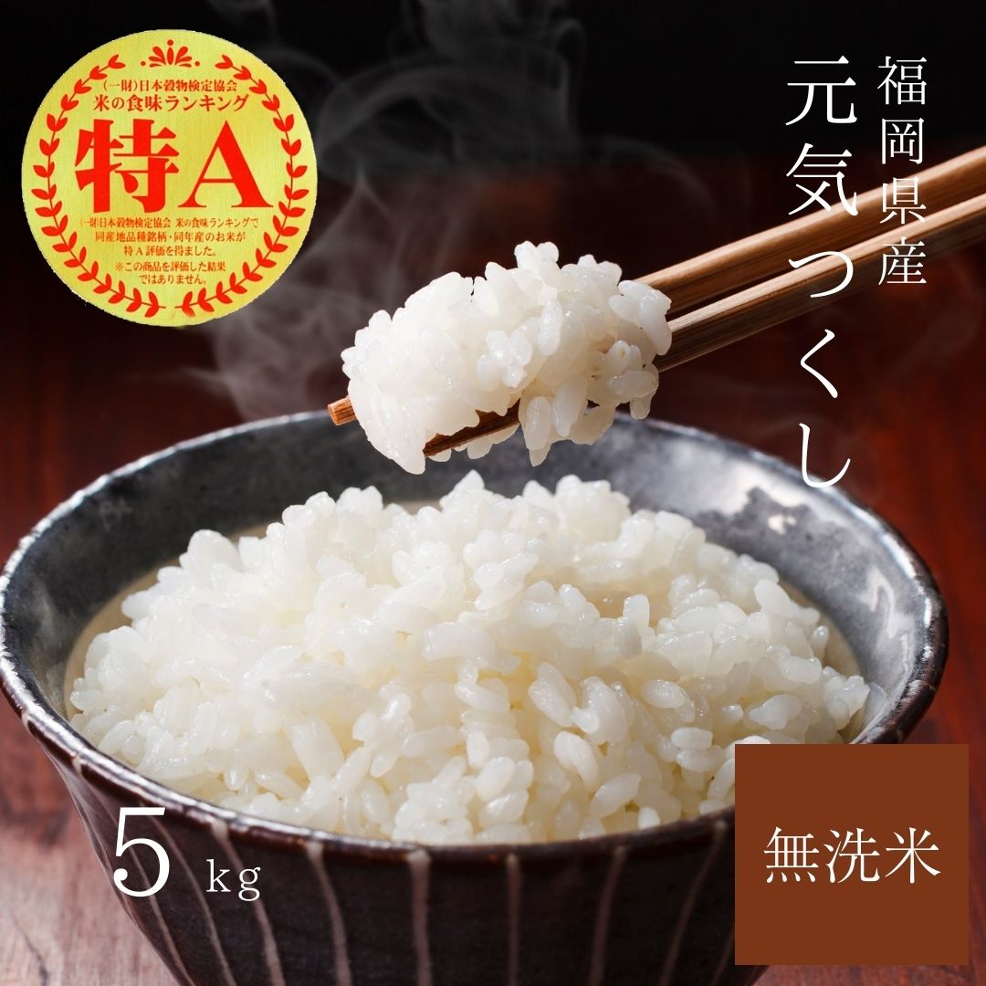 [先行予約][令和7年産]福岡県産 ブランド米 元気つくし 無洗米 5kg 吉富町/株式会社ゼロプラス[BGAA091] 米 こめ コメ お米 白米 ご飯 ごはん ライス 美味しい おすすめ 人気 特A 一等米 新米 5キロ 国産 福岡 弁当 送料無料 ふるさと納税