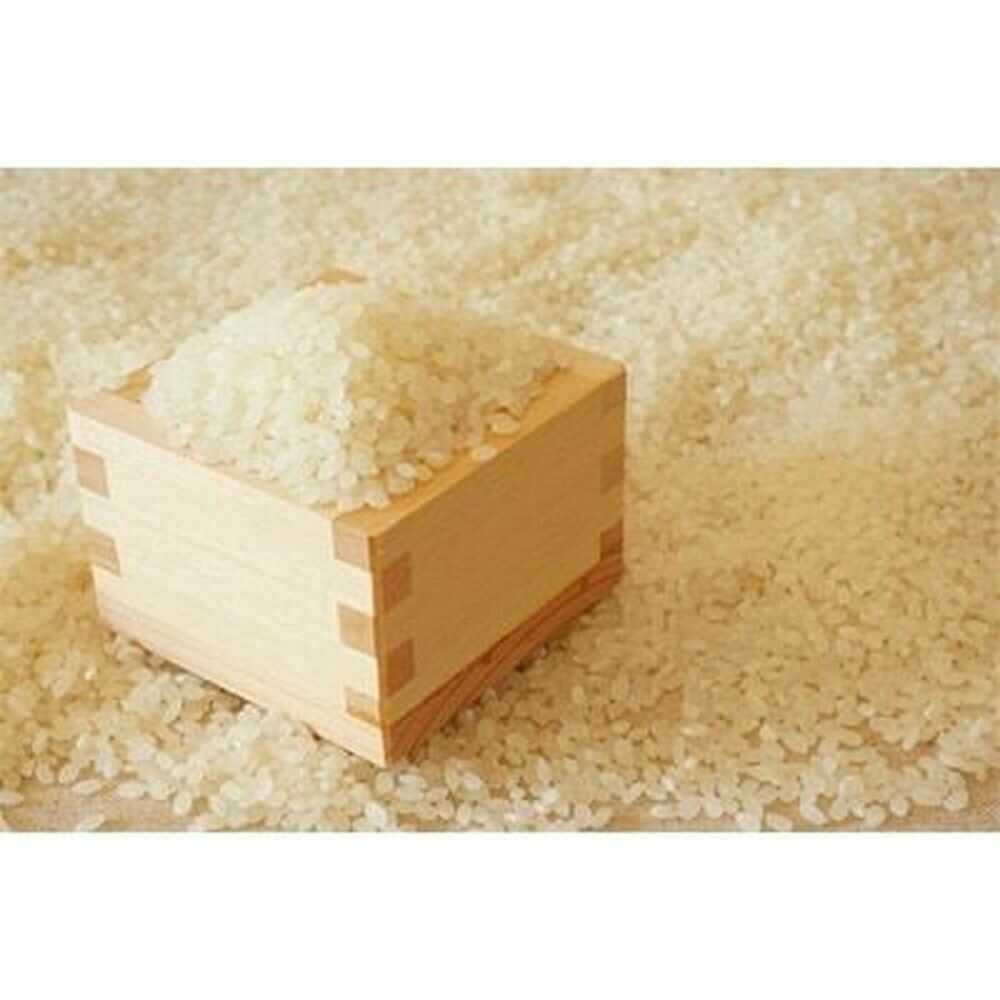 【ふるさと納税】【先行予約】【令和7年産】福岡県産米食べ比べ【無洗米】夢つくしと元気つくしセット 計10kg 吉富町/株式会社ゼロプラス[BGAA097] 米 こめ コメ お米 ご飯 ごはん ライス 美味しい おすすめ 人気 5キロ 10キロ 小分け 国産 福岡県 送料無料 ふるさと納税