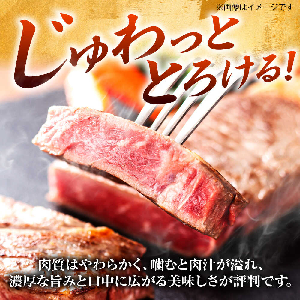 【ふるさと納税】【A4〜A5】博多和牛 サーロインステーキ 1kg ( 250g × 4枚 ) 吉富町/株式会社MEAT PLUS[BGAB014] 黒毛和牛 霜降り 冷凍 ギフト f406422-yoshitomi-10000875 福岡県吉富町 サンプル画像3
