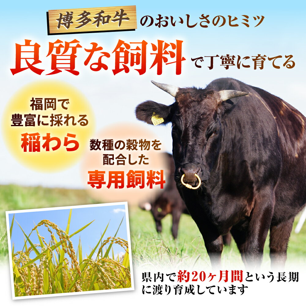 福岡県吉富町の画像3