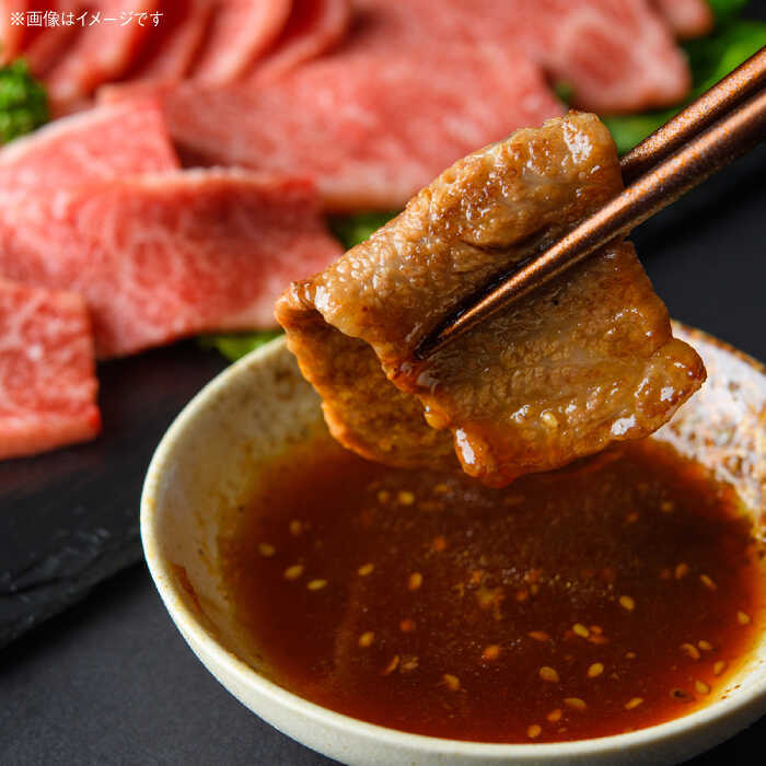 [A4〜A5] 博多和牛 赤身 モモ 焼肉用 500g 吉富町/株式会社MEAT PLUS[BGAB036] 肉 牛肉 赤身肉 もも モモ肉 もも肉 やわらかい 焼肉 焼き肉 焼肉セット 焼き肉セット 冷凍 高級 高級肉 国産 人気 おすすめ