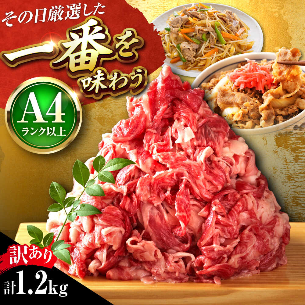 [A4~A5][訳あり] 博多和牛 切り落とし 1.2kg (600g×2P) 吉富町/株式会社MEAT PLUS[BGAB055] お肉 肉 牛 牛肉 和牛 黒毛和牛 切落とし きりおとし 国産牛 国産 炒め物 すき焼き しゃぶしゃぶ 牛丼 小分け 肉ギフト 贈答 冷凍 福岡 訳アリ 訳あり 食品