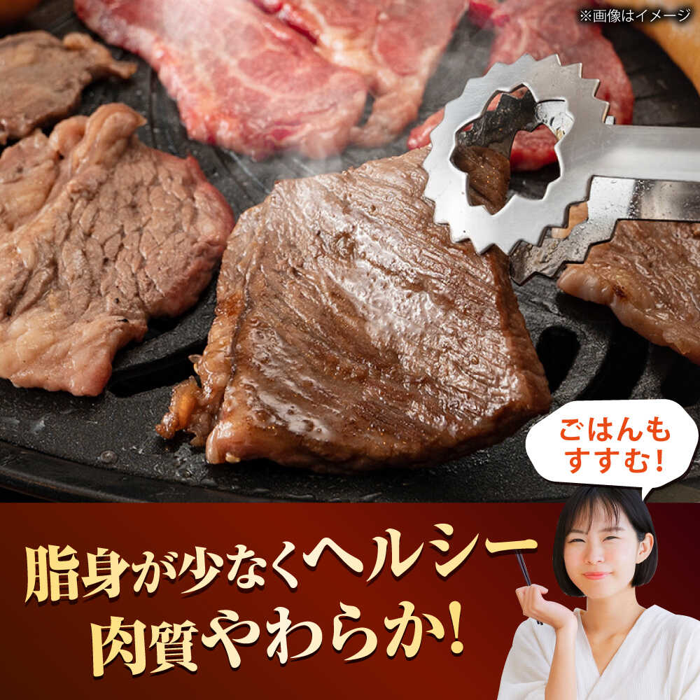 【ふるさと納税】【訳あり】 博多和牛 ヒレ 焼肉用 600g 吉富町/久田精肉店株式会社[BGAM012] 牛肉 国産 赤身 肉 お肉 精肉 国産牛 ブランド牛 和牛 黒毛和牛 ヒレ フィレ ヘレ 焼肉 焼き肉 やきにく BBQ f406422-yoshitomi-10001281 福岡県吉富町 サンプル画像3