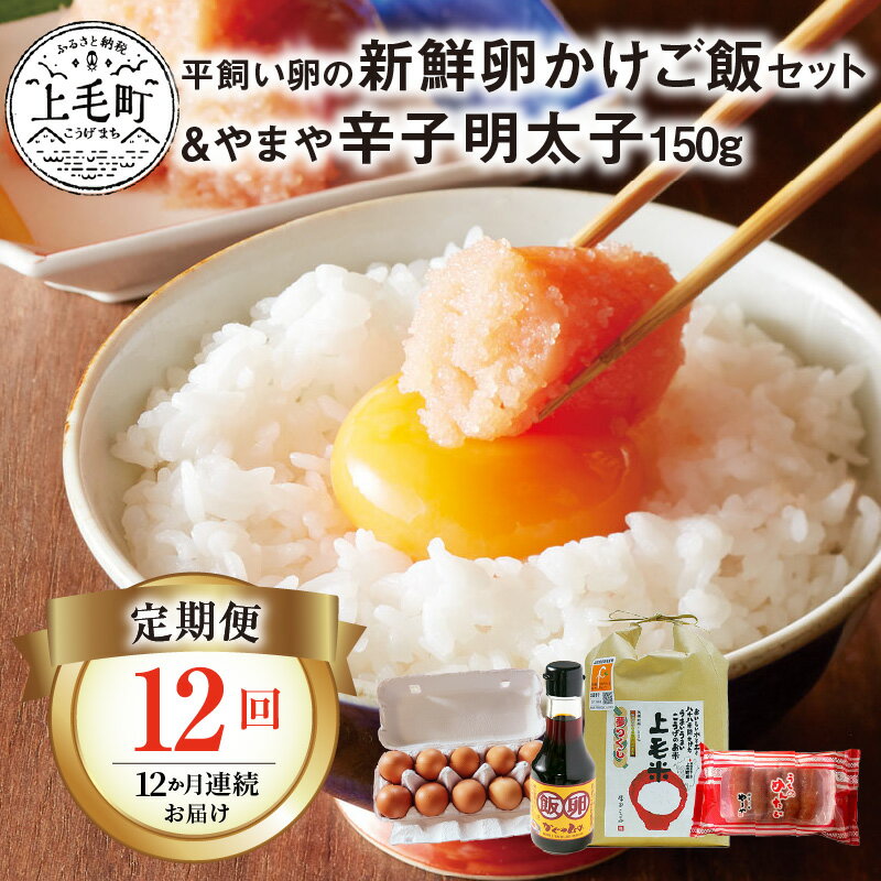 【ふるさと納税】平飼い卵 新鮮 卵かけご飯 セット ＆ やまや 辛子明太子 150g 【 定期便 12回 毎月 】 卵 かぐやひめ ブランド卵 醤油 米 白米 精米 明太子 魚卵 ご飯のお供 老舗 長期熟成 食品 おすすめ お取り寄せ お取り寄せグルメ 送料無料