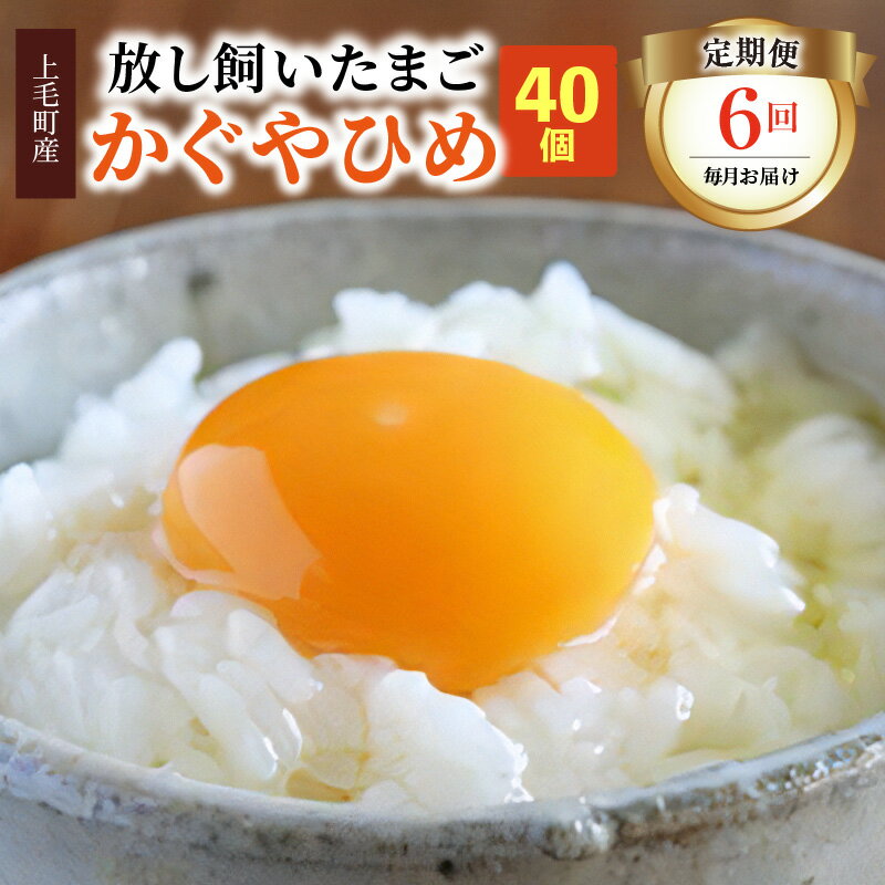 【ふるさと納税】【定期便】卵 40個 全6回 毎月コース 放し飼いたまご かぐやひめ 国産 福岡 上毛町産 鶏卵 生卵 たまごかけご飯 炊き..