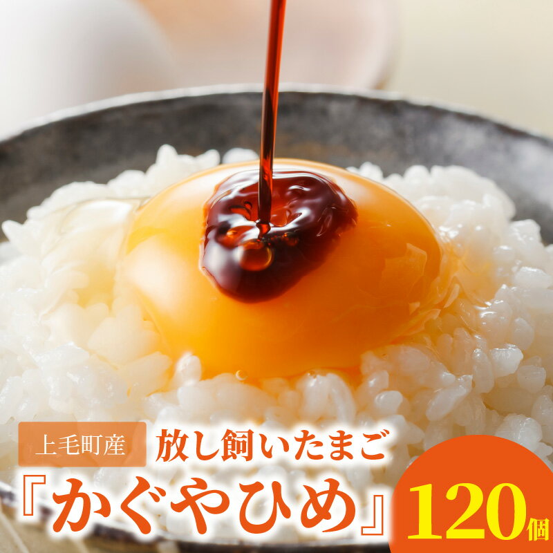 5位! 口コミ数「18件」評価「4.61」たまご 放し飼いたまご かぐやひめ 120個 福岡 上毛町産 放し飼い 生卵 鶏卵 コク うまみ こだわり卵 お取り寄せ 食品 九州産 国産･･･ 