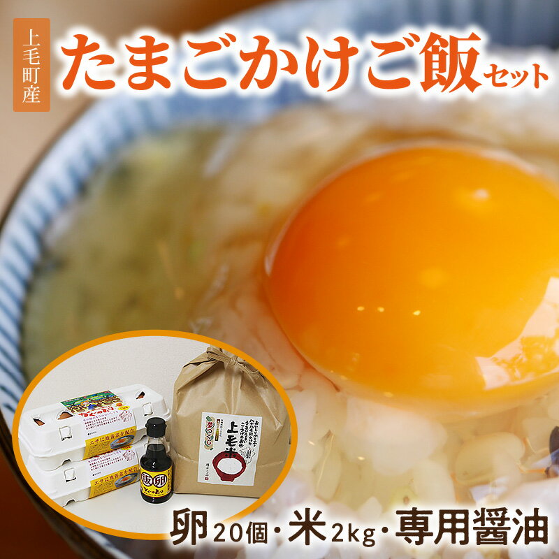 【ふるさと納税】平飼いたまご 新鮮 卵かけご飯 セット ( 