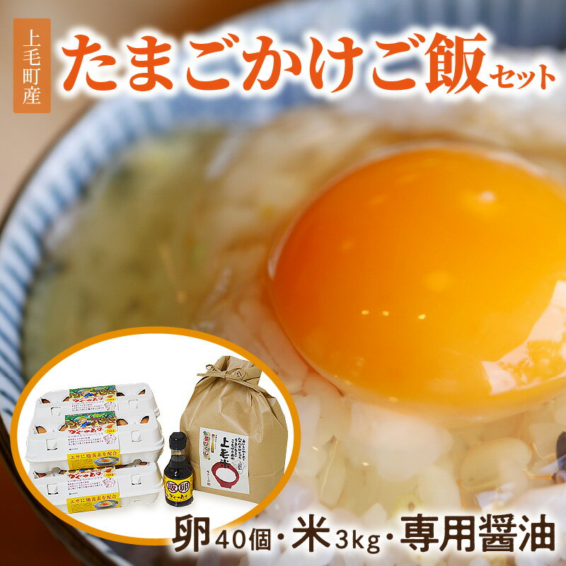 【ふるさと納税】平飼いたまご 新鮮 卵かけご飯 ...の商品画像