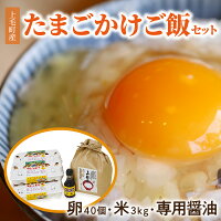 【ふるさと納税】平飼いたまご 新鮮 卵かけご飯 セット ( 卵 40個 お米 3kg 専用醤油 150ml ) かぐやひめ ブラ...