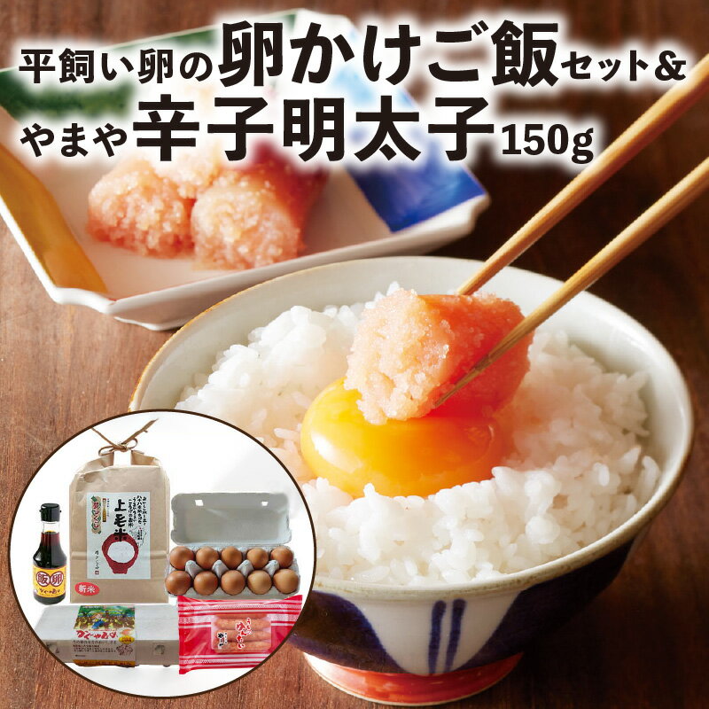 【ふるさと納税】 新鮮 卵かけご飯セット やまや 辛子明太子 150g セット 卵 かぐやひめ 20個 明太子 ...