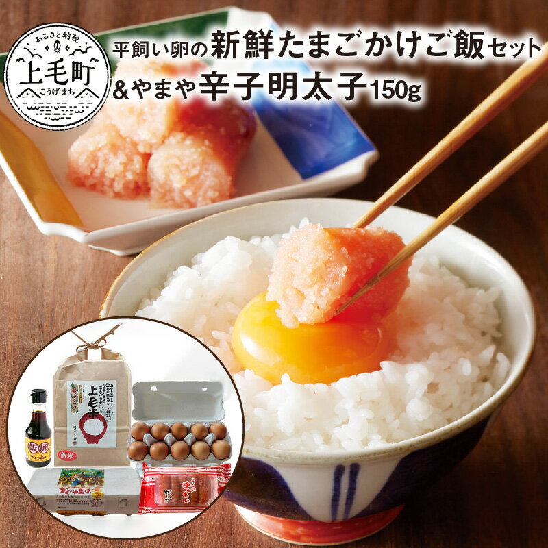 【ふるさと納税】 新鮮 卵かけ ご飯セット & やまや 辛子 明太子 150g セット お取り寄せ お取り寄せグルメ 食品 平飼い卵 送料無料 ご当地グルメ 地元めし 福岡 名物 お土産 おつまみ 簡単 便利 ごはんのおとも 冷凍 上毛町特別企画