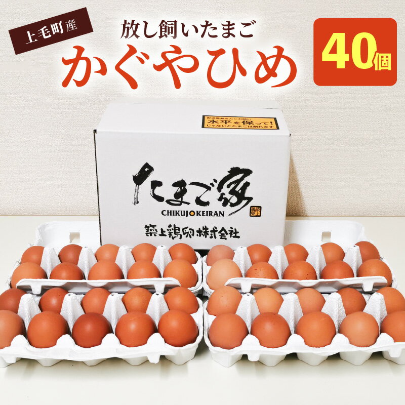 【ふるさと納税】卵 40個 かぐやひめ 国産 福岡上毛町産 