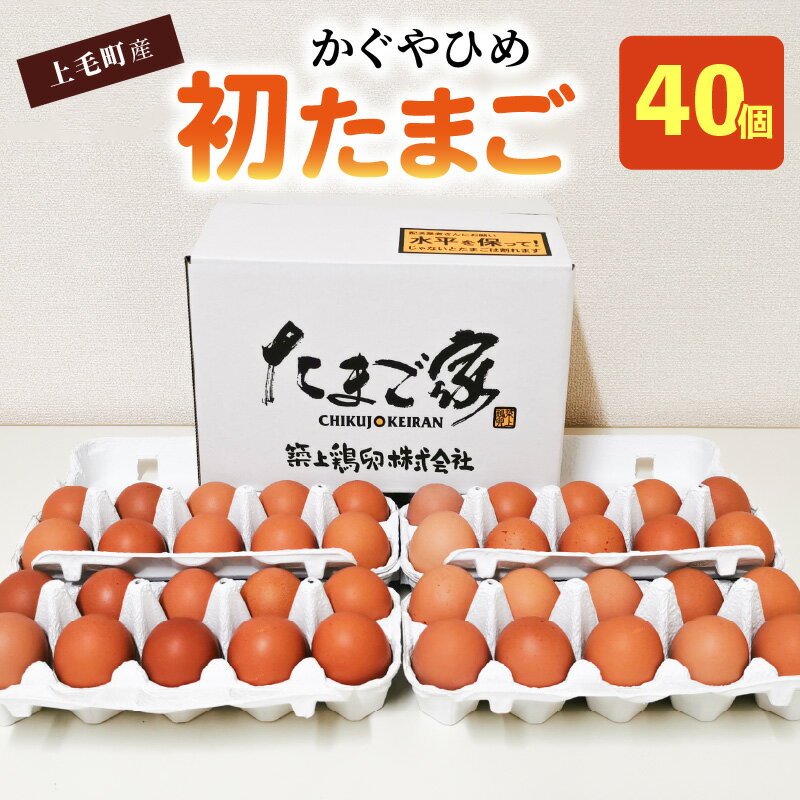 卵 40個 かぐやひめ 初たまご とろける コク 旨味 国産 福岡上毛町産 鶏卵 地鶏の卵 平飼い 放し飼いたまご 生卵 たまごかけご飯 卵黄 卵白 栄養 味 濃厚 お取り寄せ お取り寄せグルメ 食品 食べ物 ごはんのおとも 築上鶏卵株式会社 冷蔵 送料無料