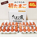 【ふるさと納税】卵 40個 かぐやひめ 初たまご とろける コク 旨味 国産 福岡上毛町産 鶏卵 地鶏の卵 平飼い 放し飼いたまご 生卵 たま..