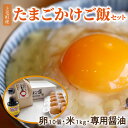 【ふるさと納税】卵 10個 かぐやひめ 米 1kg 専用醤油 セット 国産 福岡上毛町産 鶏卵 地鶏の卵 平飼い 放し飼いたまご 生卵 上毛米 た..