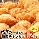 特製 チキンカツ 30個 はかた一番どり 銘柄鶏 惣菜 揚げるだけ 簡単調理 3D凍結 お取り寄せ お取り寄せグルメ おかず ご当地グルメ 小分け 送料無料 便利 使いやすい おつまみ お弁当