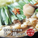 【ふるさと納税】博多 もつ鍋 セット 前田屋 しょうゆ味 4〜6人前 超人気 芸能人 野球選手 御用達 もつ 絶品 和牛 ホルモン 特製スープ ご当地グルメ 名...