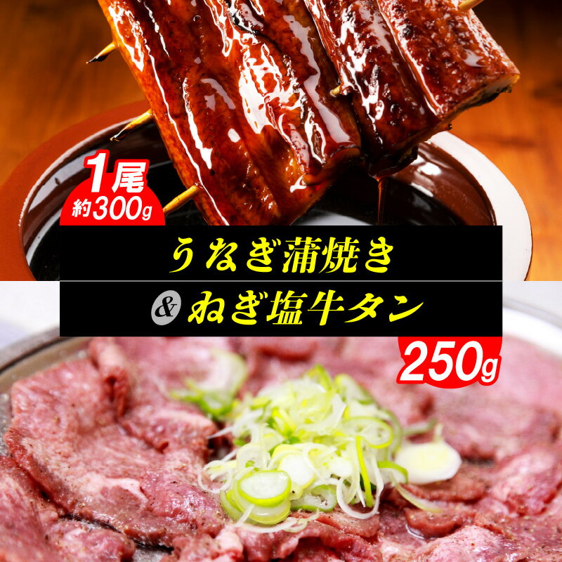 20位! 口コミ数「0件」評価「0」【レビューキャンペーン対象】うなぎ蒲焼き 1尾 約 300g ねぎ塩牛タン 250g セット 肉厚 ふっくら うなぎ 蒲焼き 特製塩だれ ネ･･･ 