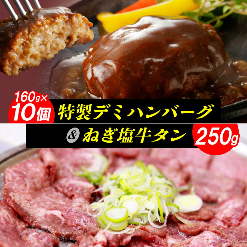 10位! 口コミ数「0件」評価「0」【レビューキャンペーン対象】デミハンバーグ 160g × 10個 入り ねぎ塩牛タン 250g セット デミグラスハンバーグ ハンバーグ ネ･･･ 