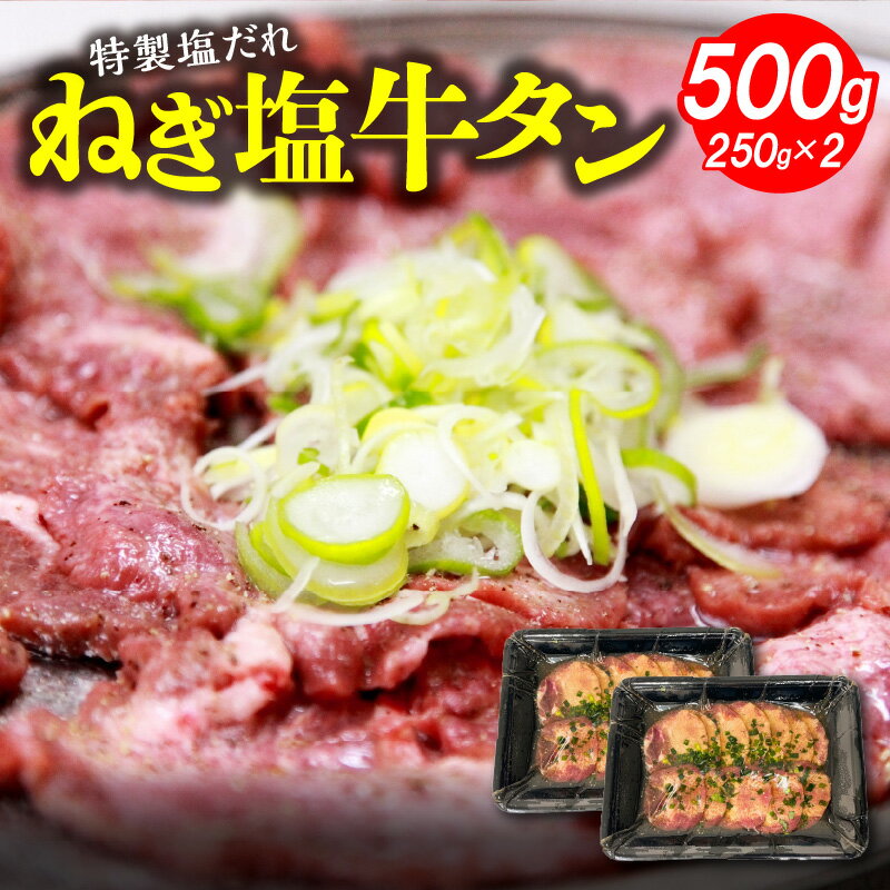 【ふるさと納税】【レビューキャンペーン対象】ねぎ塩牛タン 250g × 2パック 合計 500g ちょうど食べやすい厚さ 牛タン ネギ塩 特製塩だれ タン 牛肉 味付き 食べきりサイズ 小分け 焼くだけ 焼肉 スライス 冷凍 お取り寄せ 福岡県 上毛町 送料無料