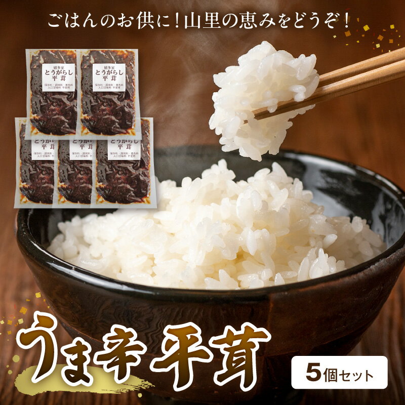 【ふるさと納税】山里の恵み！うま辛平茸5個セット　T05904