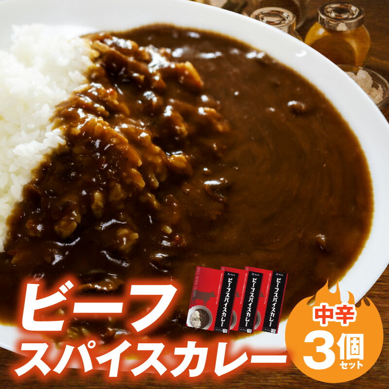 ビーフスパイスカレー 1袋 180g 3個 セット 平茸 牛肉 野菜 32種類 スパイス 平茸 椎茸 たまねぎ 人参 レンコン ゴボウ 中辛 カレー 旨味 簡単調理 レトルト 湯煎 お取り寄せ お取り寄せグルメ 福岡 上毛町 送料無料