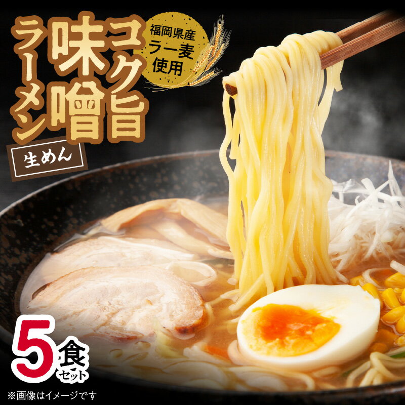 19位! 口コミ数「0件」評価「0」味噌ラーメン 5食 福岡県産 ラー麦 使用 コク旨 味噌 ラーメン 麺 スープ セット 深いコク 旨み お昼ごはん グルメ ご当地 常温 九･･･ 